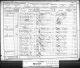 1891 census in Swansea - page 31